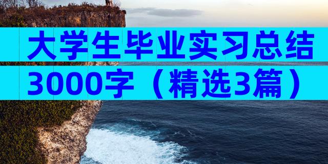 大学生毕业实习总结3000字（精选3篇）