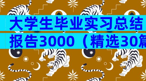 大学生毕业实习总结报告3000（精选30篇）