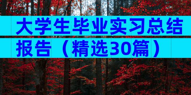 大学生毕业实习总结报告（精选30篇）