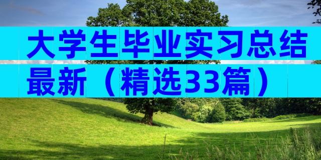 大学生毕业实习总结最新（精选33篇）