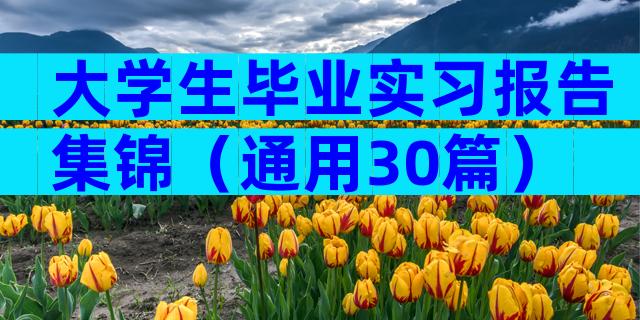 大学生毕业实习报告集锦（通用30篇）