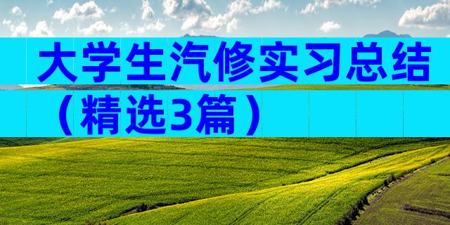 大学生汽修实习总结（精选3篇）