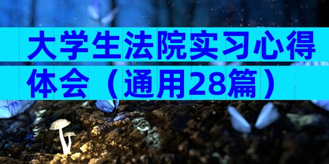 大学生法院实习心得体会（通用28篇）