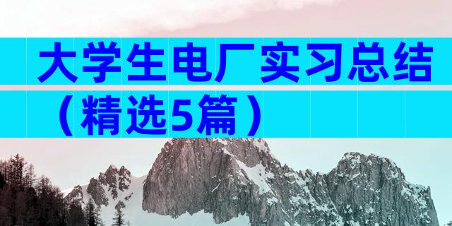 大学生电厂实习总结（精选5篇）