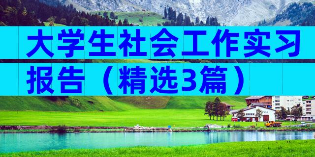 大学生社会工作实习报告（精选3篇）