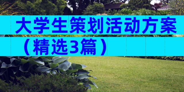 大学生策划活动方案（精选3篇）