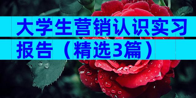 大学生营销认识实习报告（精选3篇）