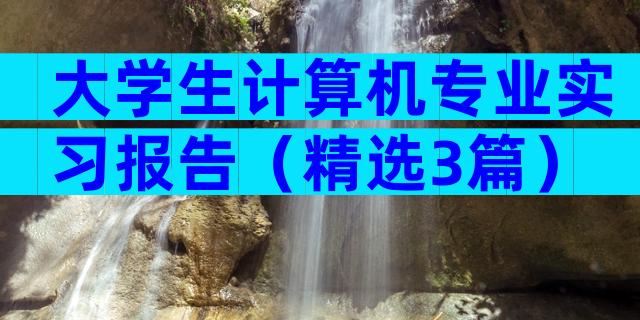 大学生计算机专业实习报告（精选3篇）