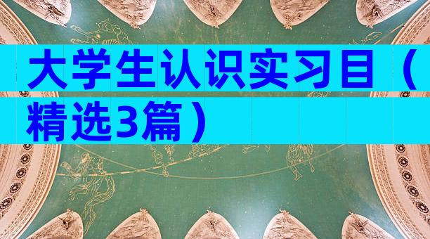 大学生认识实习目（精选3篇）
