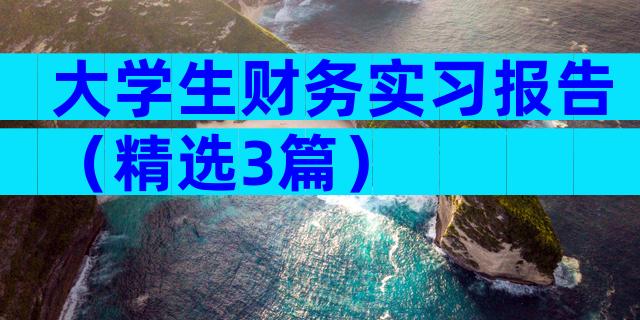 大学生财务实习报告（精选3篇）
