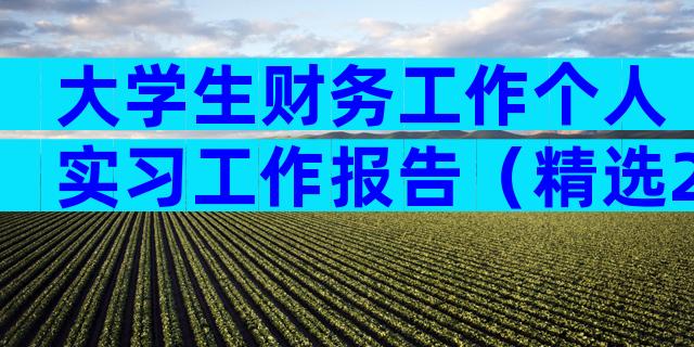 大学生财务工作个人实习工作报告（精选28篇）