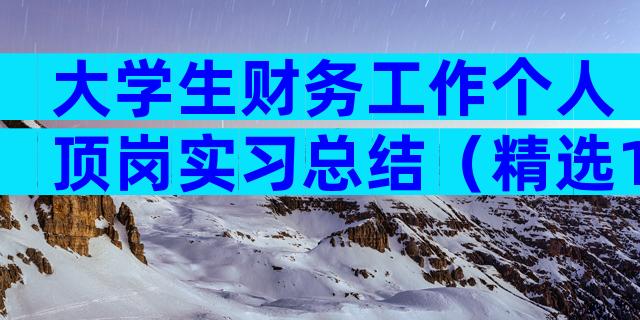 大学生财务工作个人顶岗实习总结（精选19篇）