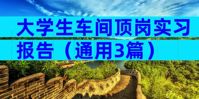 大学生车间顶岗实习报告（通用3篇）