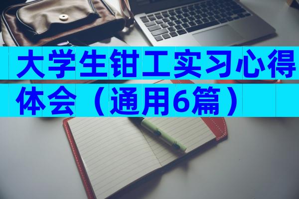 大学生钳工实习心得体会（通用6篇）