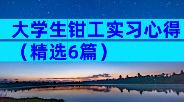 大学生钳工实习心得（精选6篇）