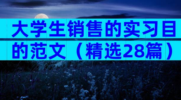 大学生销售的实习目的范文（精选28篇）