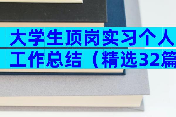 大学生顶岗实习个人工作总结（精选32篇）