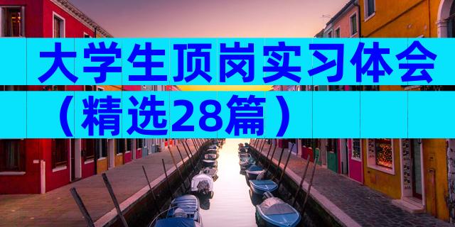 大学生顶岗实习体会（精选28篇）
