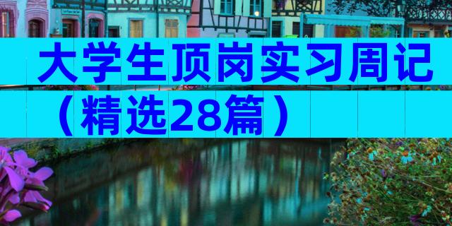 大学生顶岗实习周记（精选28篇）