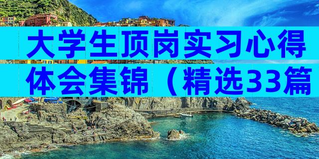 大学生顶岗实习心得体会集锦（精选33篇）