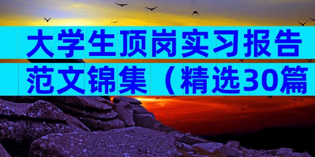 大学生顶岗实习报告范文锦集（精选30篇）