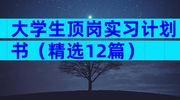 大学生顶岗实习计划书（精选12篇）