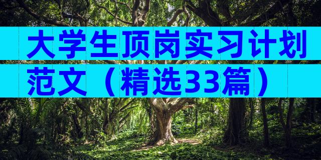大学生顶岗实习计划范文（精选33篇）