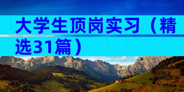 大学生顶岗实习（精选31篇）