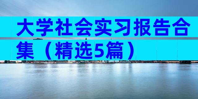 大学社会实习报告合集（精选5篇）