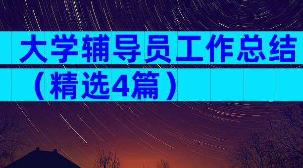 大学辅导员工作总结（精选4篇）