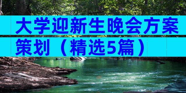 大学迎新生晚会方案策划（精选5篇）