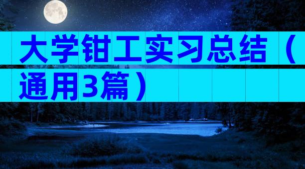 大学钳工实习总结（通用3篇）