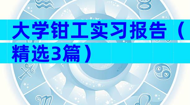 大学钳工实习报告（精选3篇）