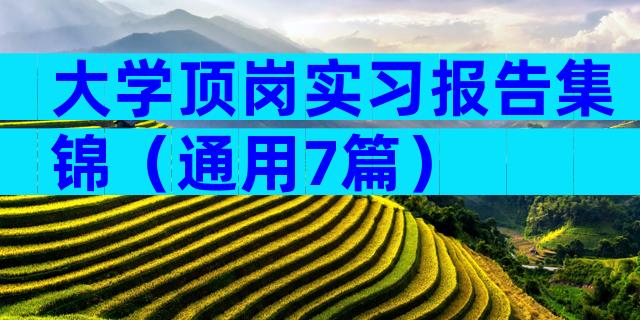 大学顶岗实习报告集锦（通用7篇）