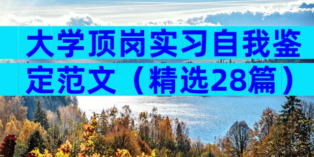 大学顶岗实习自我鉴定范文（精选28篇）