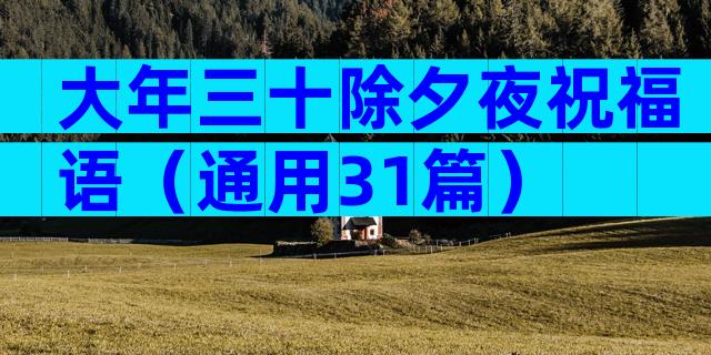 大年三十除夕夜祝福语（通用31篇）