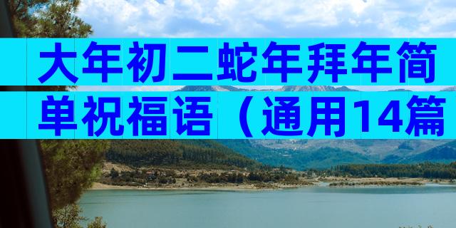 大年初二蛇年拜年简单祝福语（通用14篇）