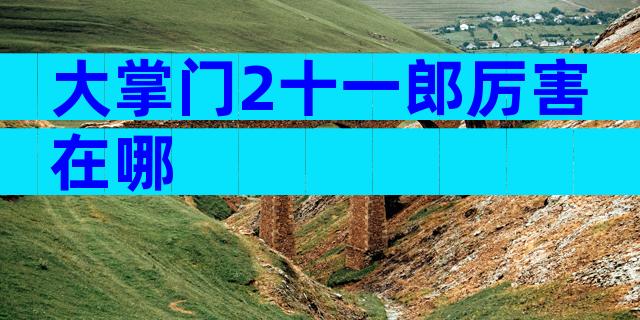 大掌门2十一郎厉害在哪