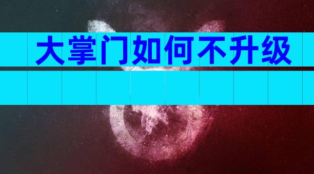 大掌门如何不升级