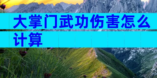 大掌门武功伤害怎么计算