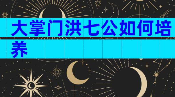 大掌门洪七公如何培养