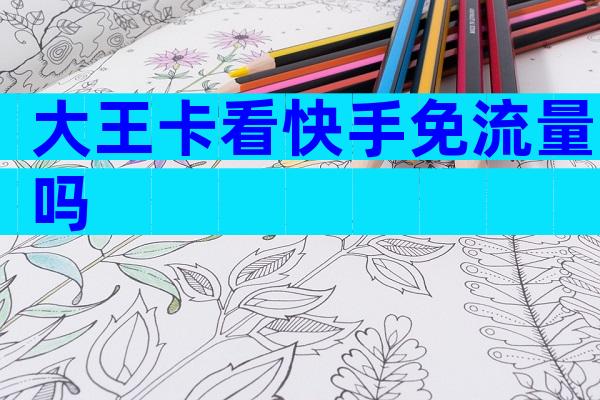大王卡看快手免流量吗