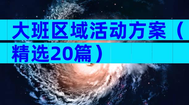 大班区域活动方案（精选20篇）