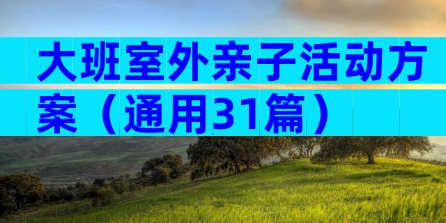 大班室外亲子活动方案（通用31篇）