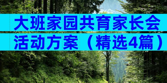 大班家园共育家长会活动方案（精选4篇）