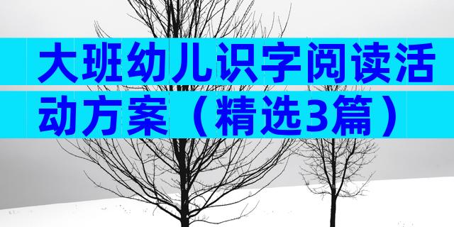 大班幼儿识字阅读活动方案（精选3篇）