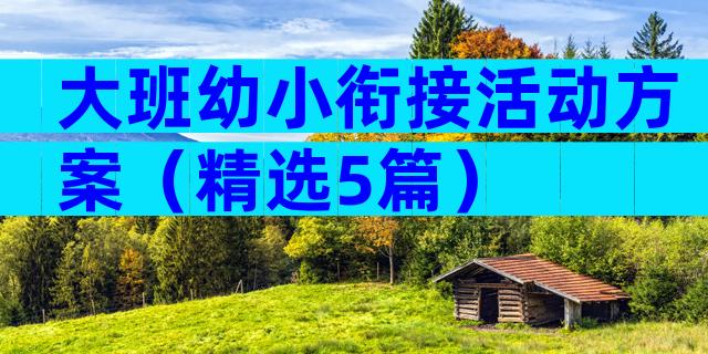 大班幼小衔接活动方案（精选5篇）