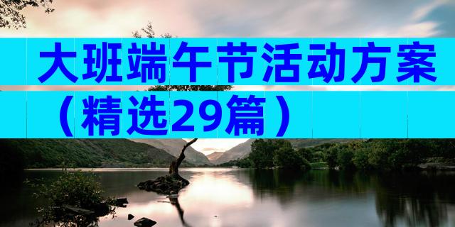 大班端午节活动方案（精选29篇）