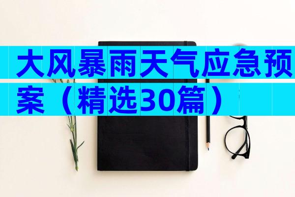 大风暴雨天气应急预案（精选30篇）