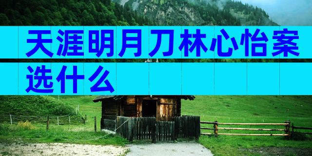 天涯明月刀林心怡案选什么